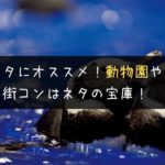動物園や水族館で行う街コンは会話ネタの宝庫だった