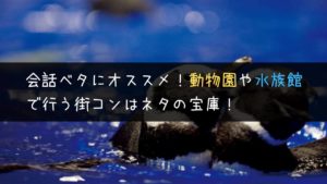 動物園や水族館で行う街コンは会話ネタの宝庫だった