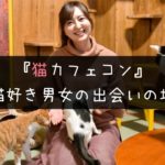 猫カフェコンのメリット・デメリットとよくある質問に主催者が回答