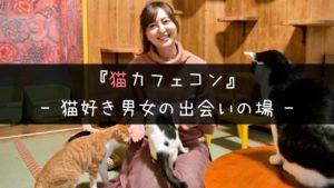 猫カフェコンのメリット・デメリットとよくある質問に主催者が回答